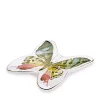 Best reviews of ✨ Avanti Butterfly Garden Soap Dish 🤩